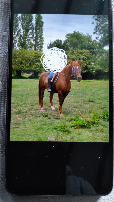 Photo de profil de simba33