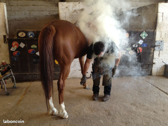 Photo de profil de simonrevelaud