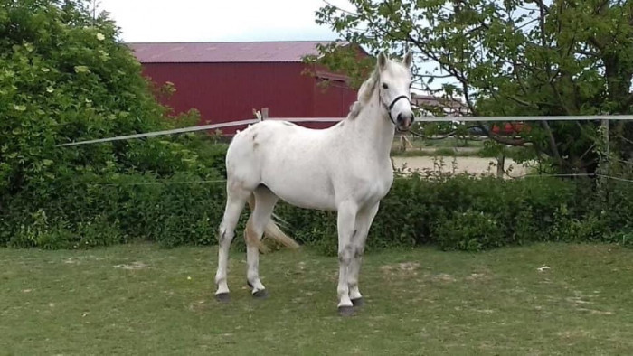 Photo de profil de sirine191206