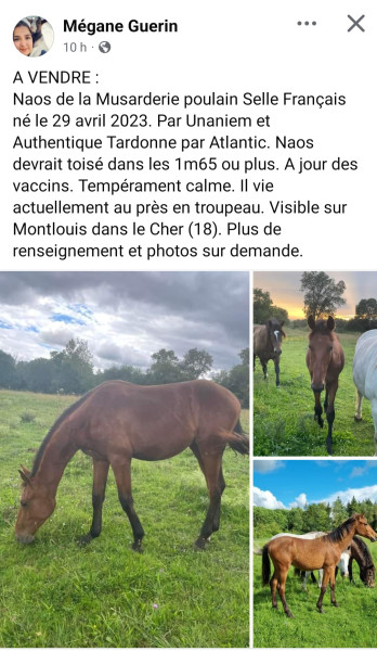 Photo de profil de siska01