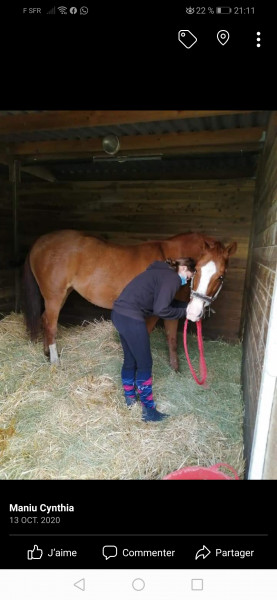 Photo de profil de sissi60