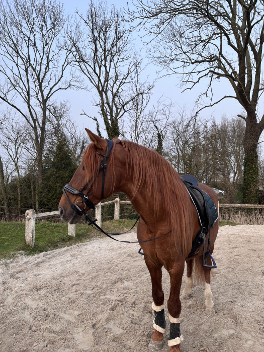 Photo de profil de skip2lep