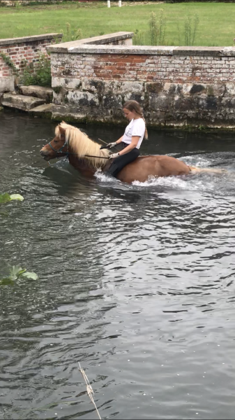 Photo de profil de sleipniretmarie