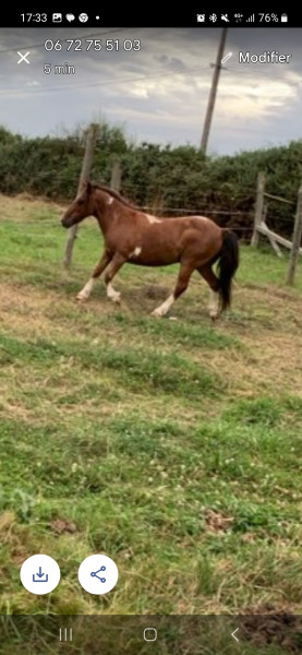 Photo de profil de slim35