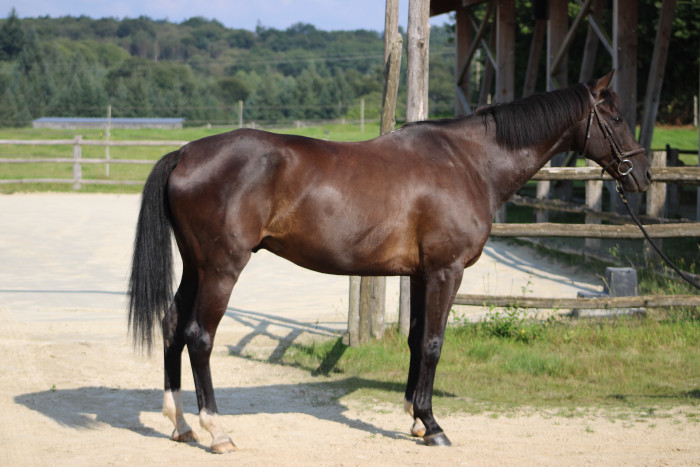 Photo de profil de slouisia