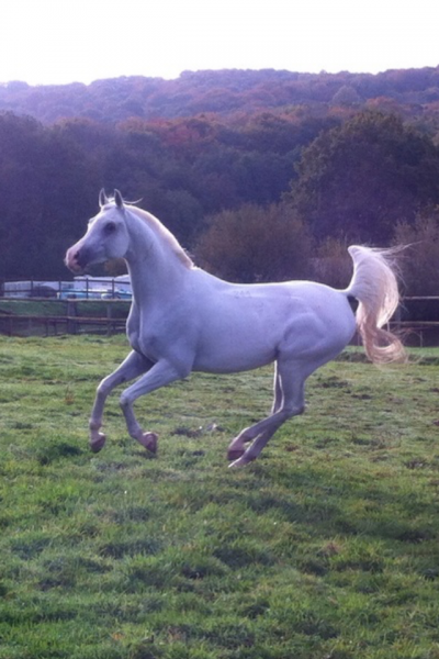 Photo de profil de soeb77