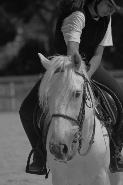 Photo de profil de sofia_brm