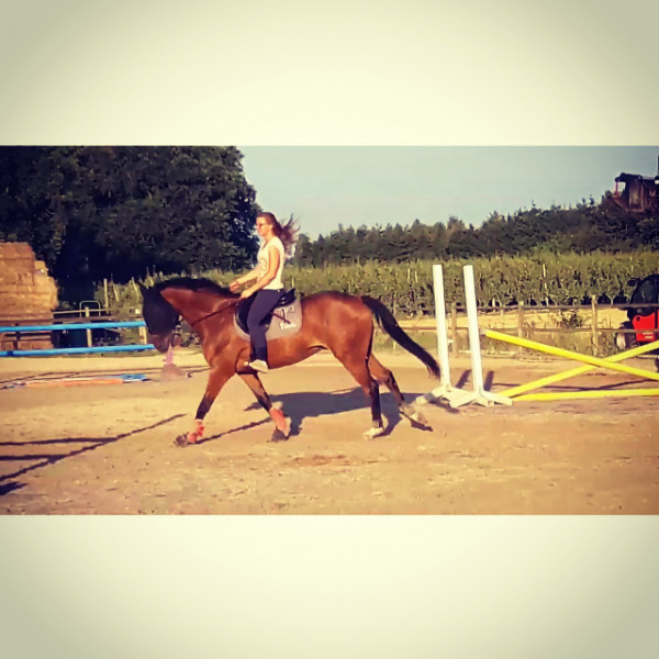 Photo de profil de solenn7