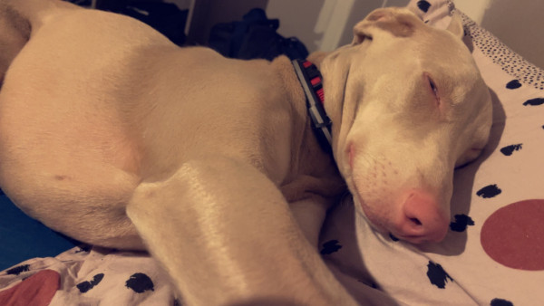 Photo de profil de sollenn05