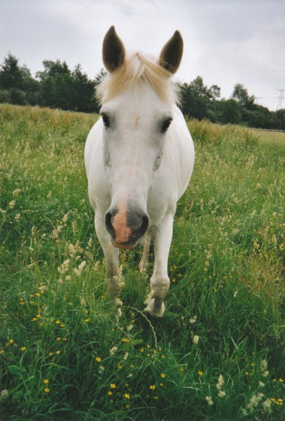 Photo de profil de sonatajument