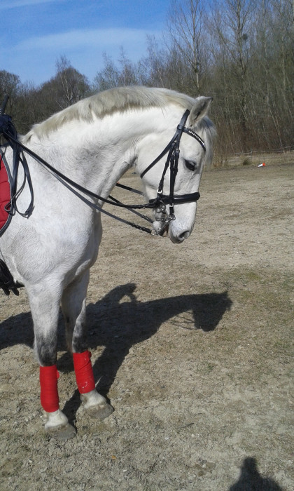 Photo de profil de sonia06
