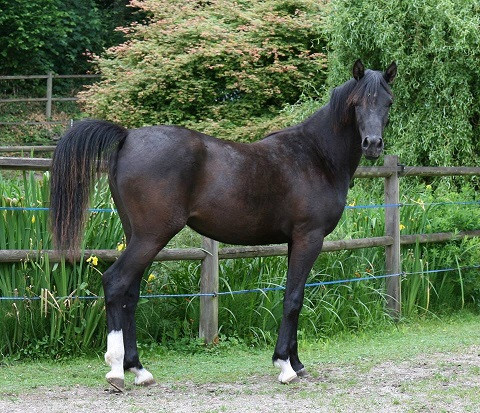 Photo de profil de sophiedulouts