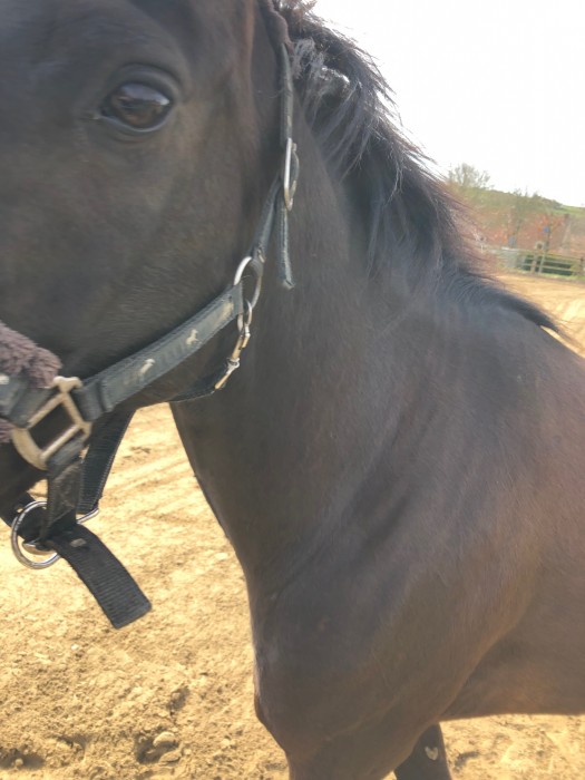 Photo de profil de sophiemalle62