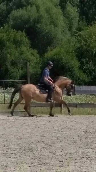 Photo de profil de sososalto