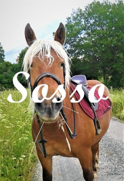 Photo de profil de sosso18