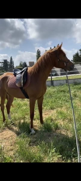 Photo de profil de souleymane