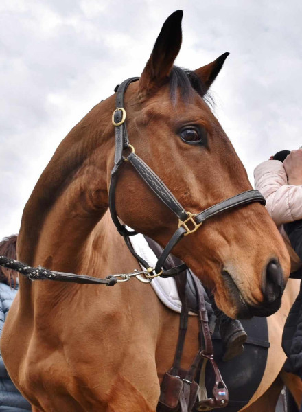 Photo de profil de sourissole