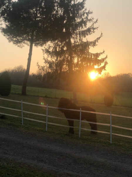 Photo de profil de speewan