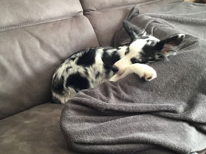 Photo de profil de spirit1508