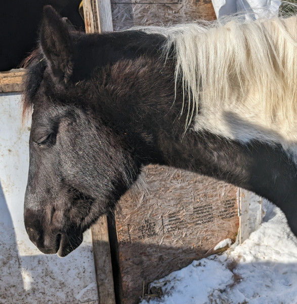 Photo de profil de spotchoux