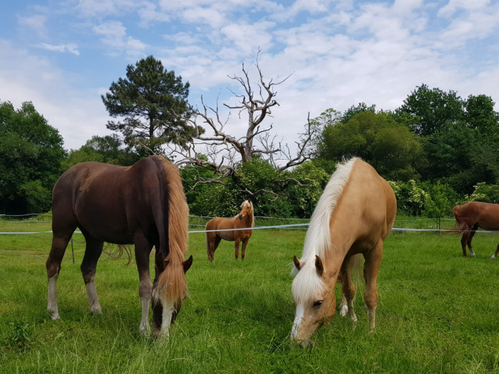 Photo de profil de spoutnik911