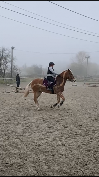 Photo de profil de s.sarah