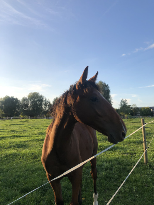 Photo de profil de ssdbzz