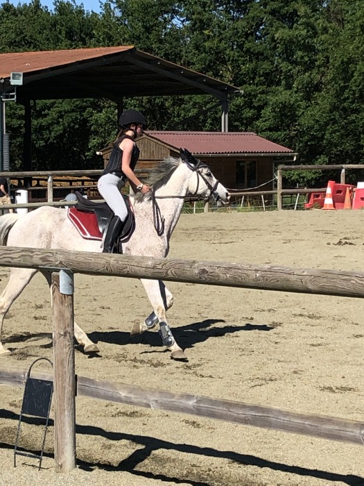 Photo de profil de ssitashop