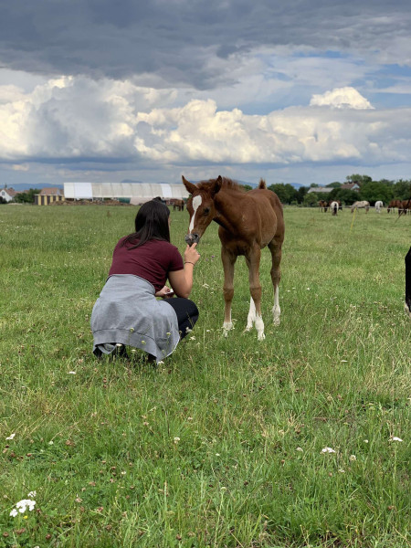 Photo de profil de ssl_m