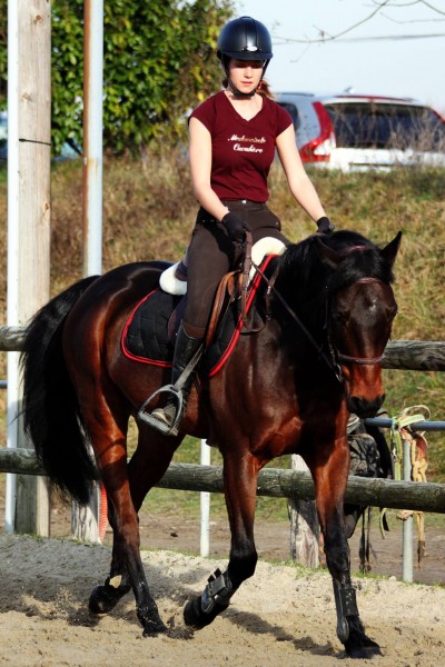 Photo de profil de stacyv