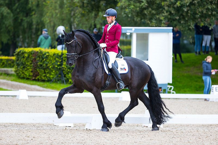 Photo de profil de staldemersken