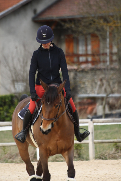 Photo de profil de stegel