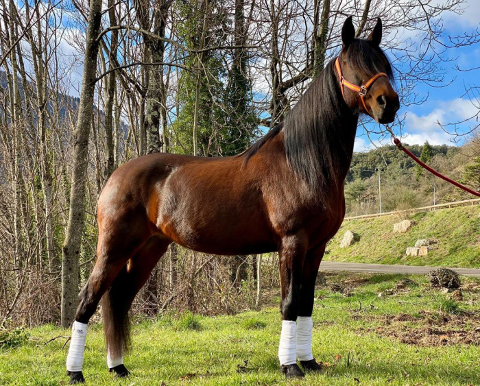 Photo de profil de stella_16