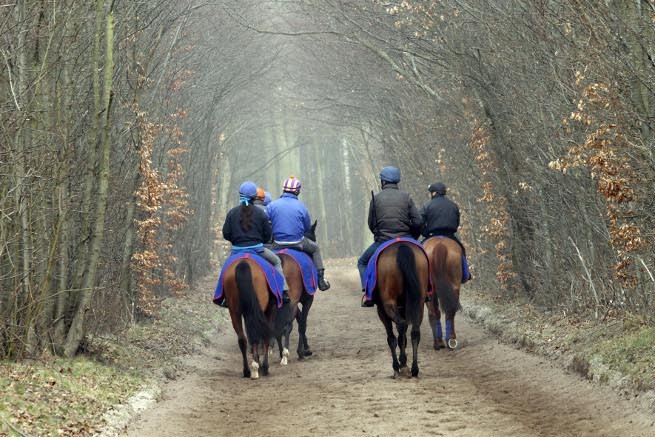 Photo de profil de steph.691