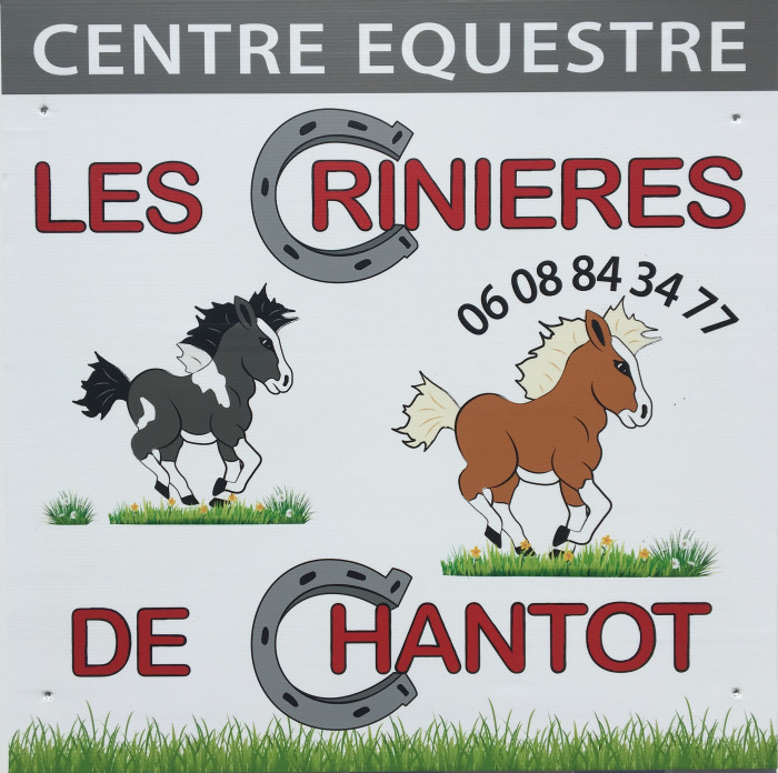 Photo de profil de strategik