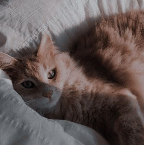 Photo de profil de sunbae