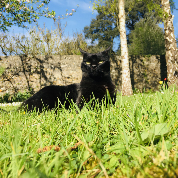 Photo de profil de sunezy