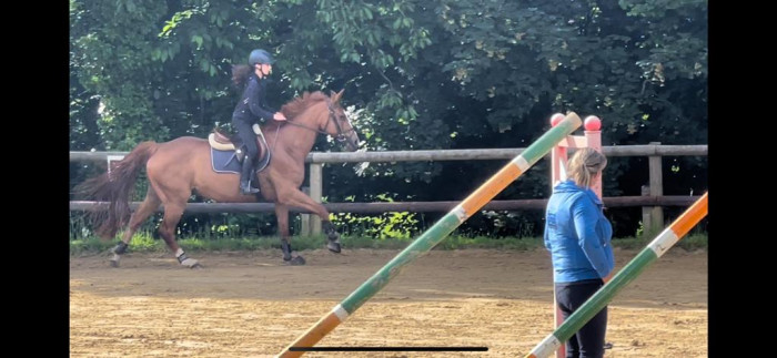 Photo de profil de suzyytbr