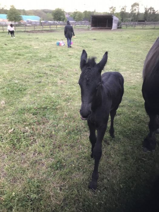 Photo de profil de sybille28