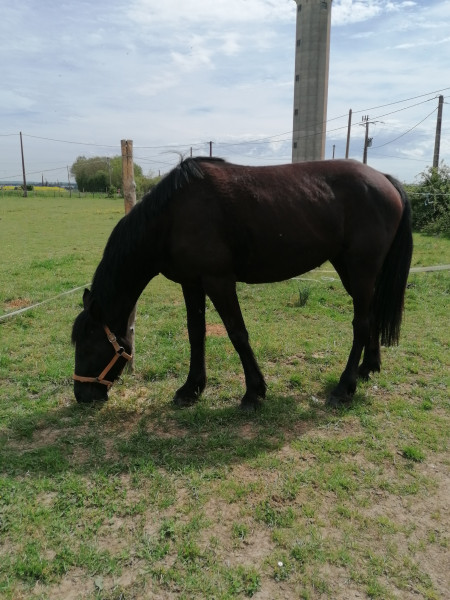 Photo de profil de sylvain2375