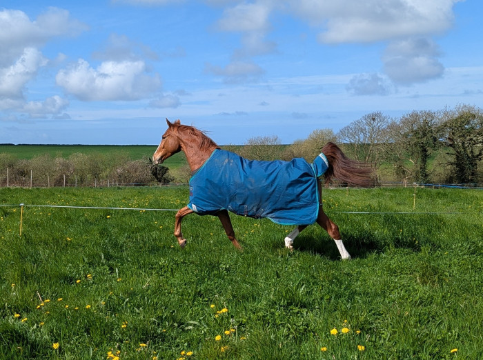 Photo de profil de sylvane85