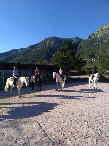 Photo de profil de syro