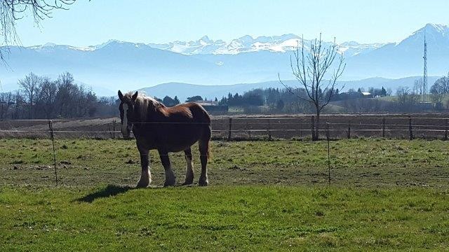 Photo de profil de t4dcy