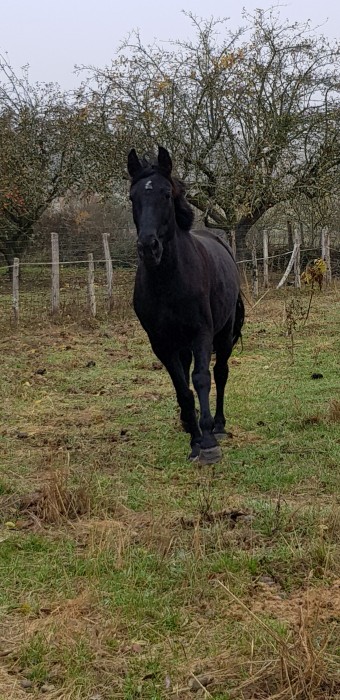 Photo de profil de taliaclaire
