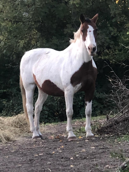 Photo de profil de tara647