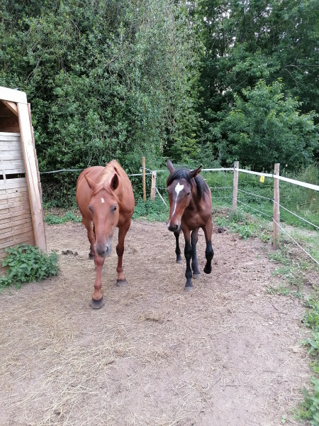 Photo de profil de tarashaman22