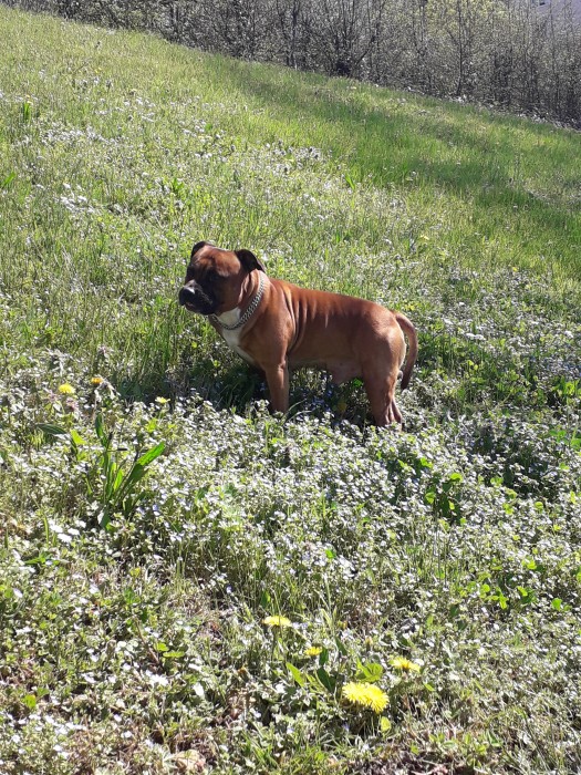 Photo de profil de tatiana38140