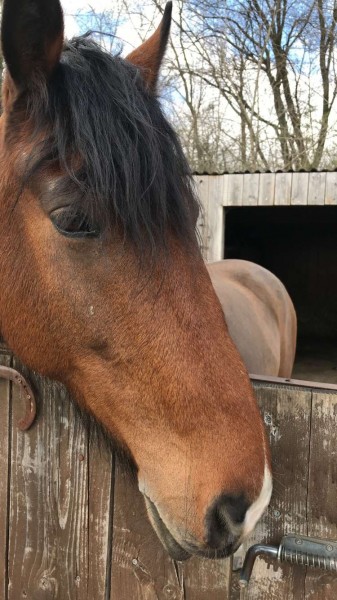 Photo de profil de tchor10