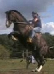 Photo de profil de tchynyss