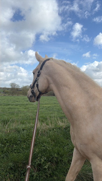 Photo de profil de t_clx